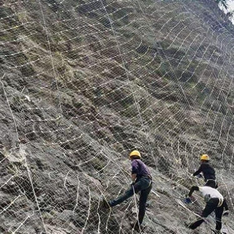 ロックフォールバリア